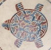 turtle_out_dude